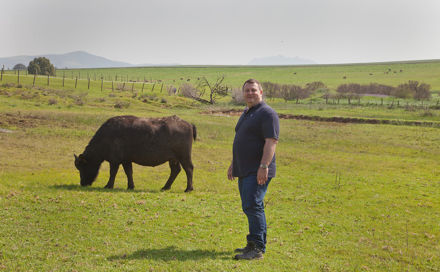 buffaloridgefarm11